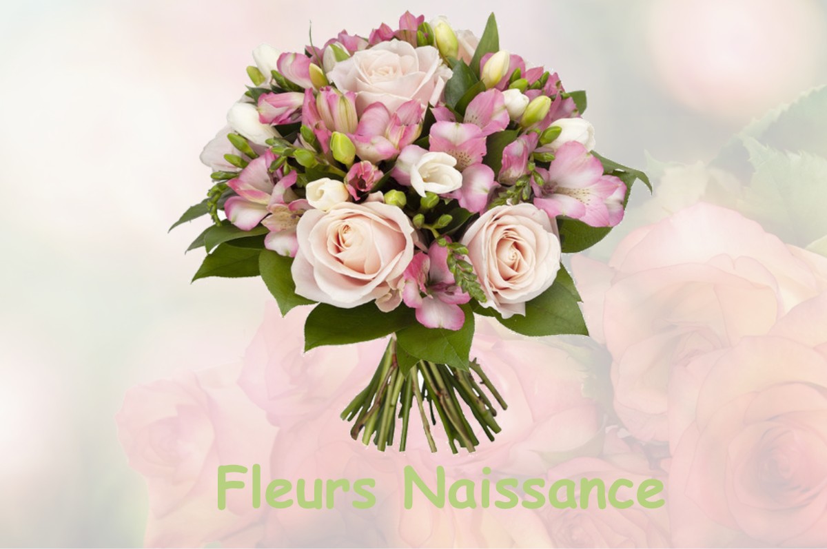 fleurs naissance ARGUENOS