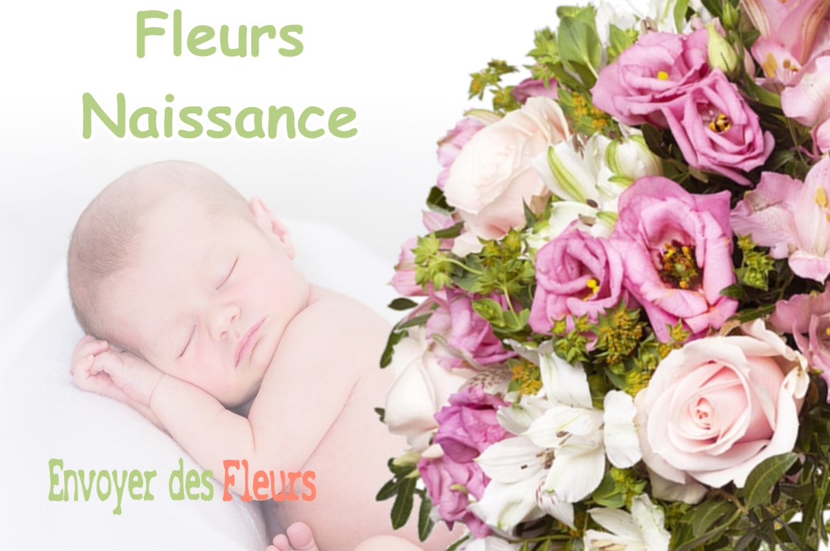 lIVRAISON FLEURS NAISSANCE à ARGUENOS